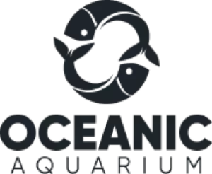 Ingresso Oceanic Aquarium | Balneário Camboriú SC