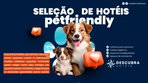 Seleção de hotéis pet friendly