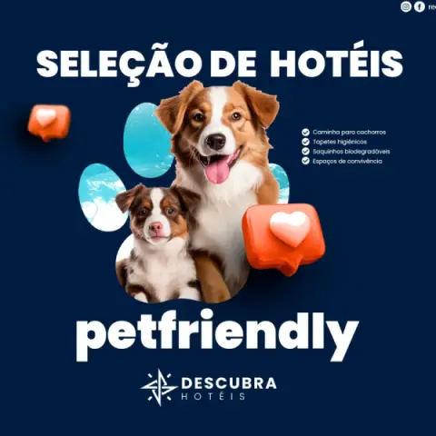 Imagem representativa: Seleção de hotéis pet friendly - Aqui seu melhor amigo não fica de fora