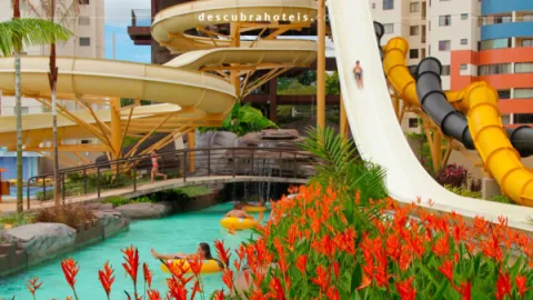 Ingresso Water Park | Caldas Novas GO