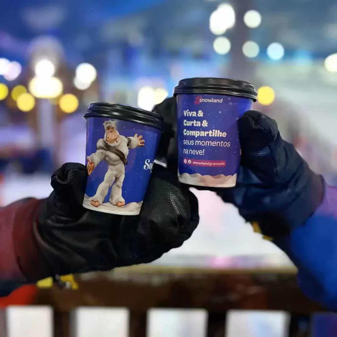 descubra-hoteis-comodidades-ingresso-snowland-gramado-mais-visitado-em-gramado-rs-67e6ff76b2496_0.webp