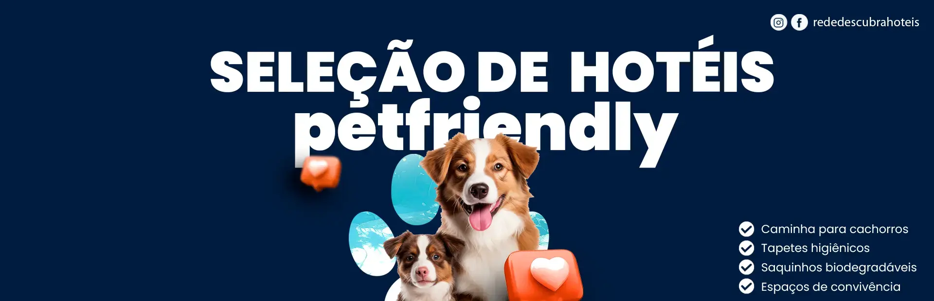 Seleção de hotéis pet friendly